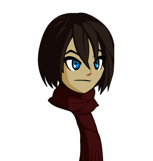 Mikasa Hair