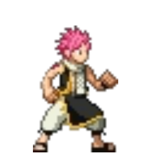 Natsu Dragneel Pet