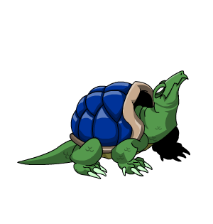 Turbo Turtle