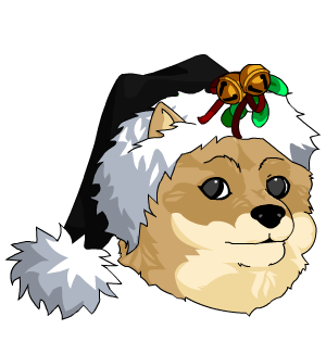 Black Frostval Doge