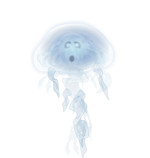 Jellyfish