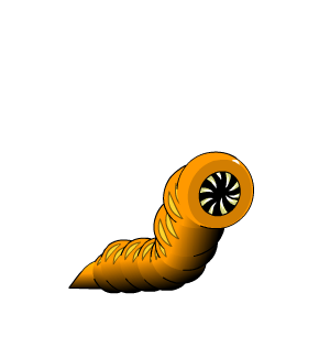 Volcanic Maggot