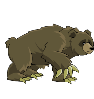 Grizzly Bear