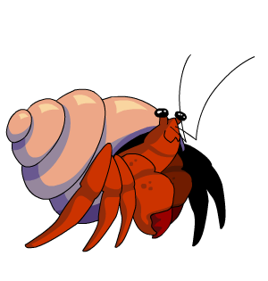 Hermit Crab